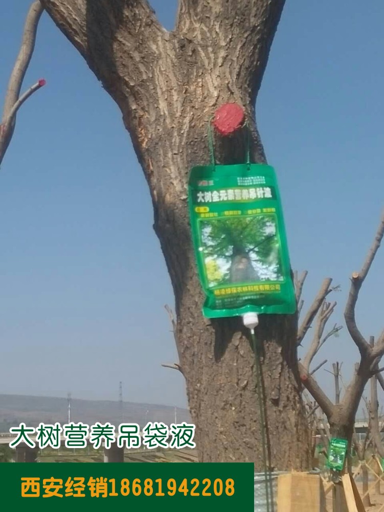 大樹(shù)營(yíng)養(yǎng)吊袋液產(chǎn)品使用圖